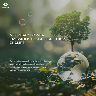 Net Zero Sustainability 