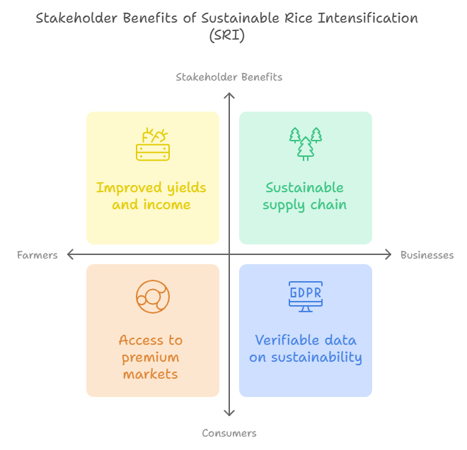 System of Rice Intensification, sustainable rice intensification