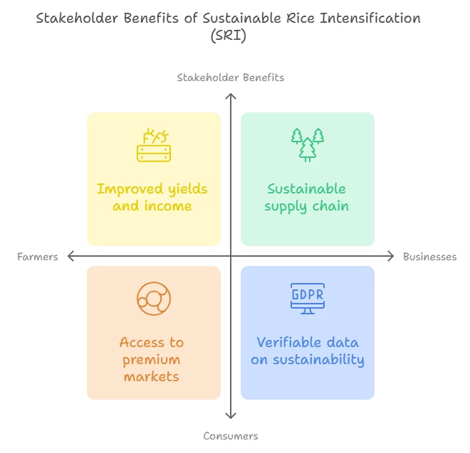 System of Rice Intensification, sustainable rice intensification