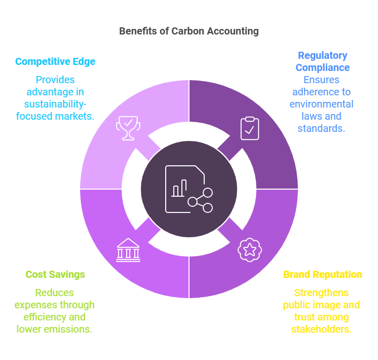 carbon accounting, benefits of carbon accounting