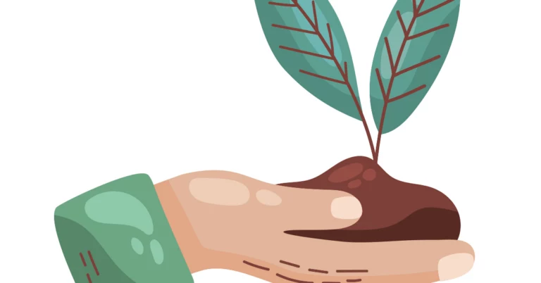 OECD seed certification, Seed certification, Organisation for Economic Co-operation and Development