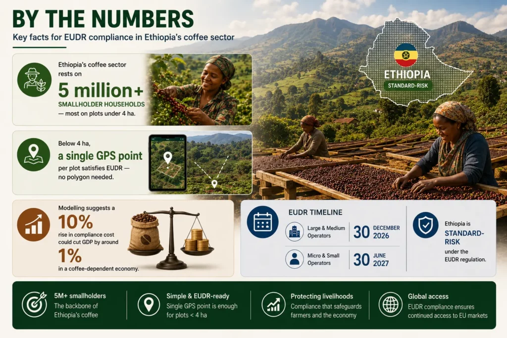 Key facts for EUDR compliance in Ethiopia's coffee sector: 5 million plus smallholder households, a single GPS point below 4 hectares, Ethiopia's standard-risk classification, and the December 2026 and June 2027 deadlines.