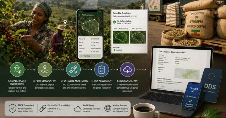 Ethiopian coffee farmer with a five-step EUDR compliance process from smallholder onboarding through plot geolocation, satellite monitoring and risk assessment to DDS generation.
