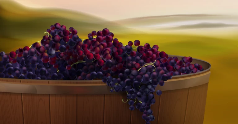 Grape Traceability for Exports, Grape Traceability, Grape supply chain, grape traceability solution