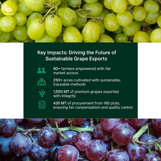 Grape Supply Chain Traceability, Grape Supply Chain, Grape Traceability