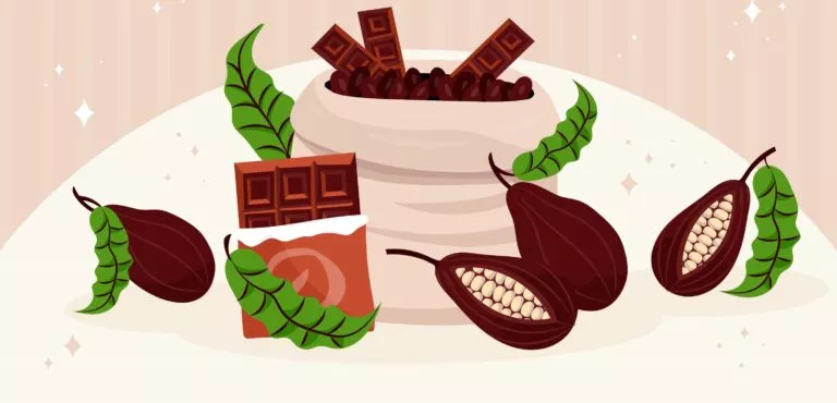 Sustainable Cocoa Sourcing in Ghana