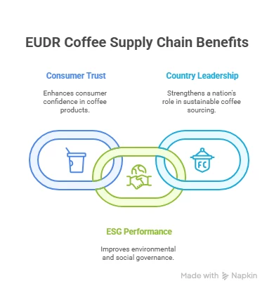 eudr coffee supply chain, coffee supply chain, coffee supply chain in italy