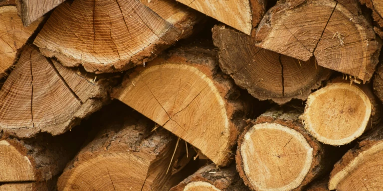 EUDR Compliance for Wood Exporters in Kenya, EUDR Compliance for Wood Exporters, Wood Exporters in Kenya, Wood Exporters, eudr compliance, eudr