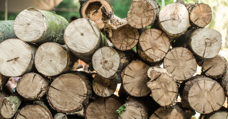 EUDR DDS for Wood Supply Chain in Spain, EUDR DDS for Wood Supply Chain , EUDR Wood Supply Chain , EUDR wood supply chain in Spain