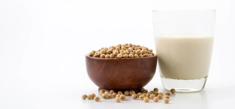EUDR DDS for Soy Supply Chain in France, Soy Supply Chain in France, Soy Supply Chain