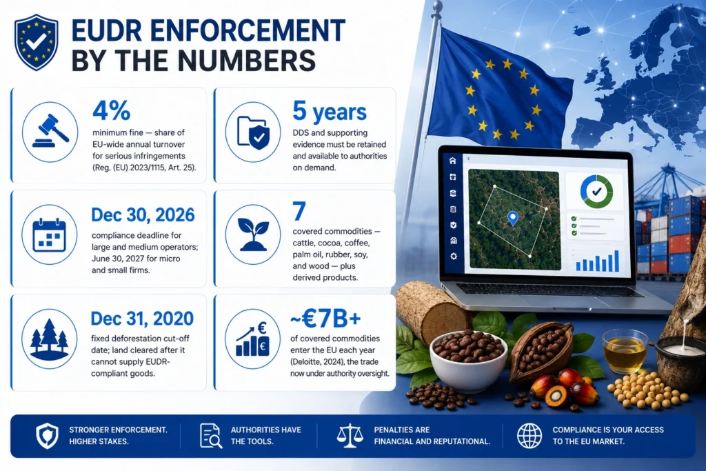 eudr enforcement by the number, eudr competent authorities