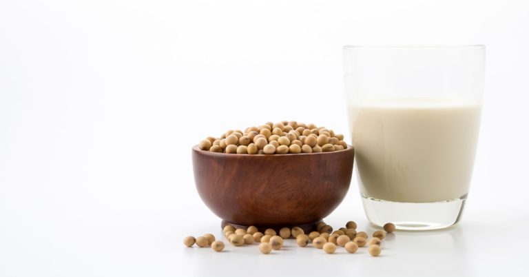 EUDR DDS for Soy Supply Chain in the UK, EUDR DDS for Soy Supply Chain, soy supply chain, eudr dds, eudr compliance, eudr