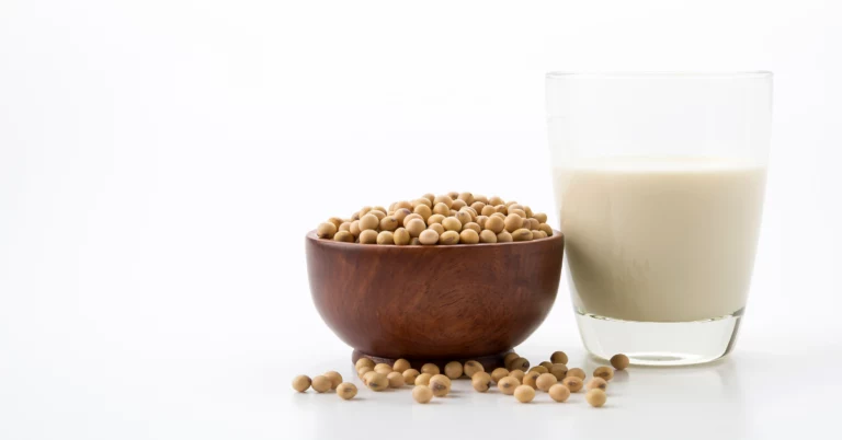 EUDR DDS for Soy Supply Chain in the UK, EUDR DDS for Soy Supply Chain, soy supply chain, eudr dds, eudr compliance, eudr