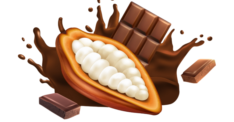 eudr cocoa supply chain norway, eudr cocoa supply chain, cocoa supply chain