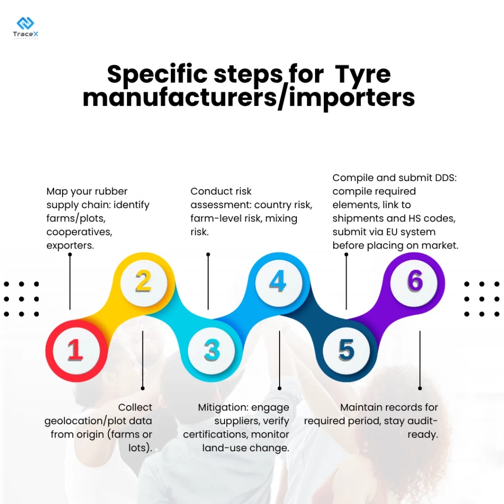 EUDR DDS for the Tyre Supply Chain in the UK, EUDR DDS for the Tyre Supply Chain, Tyre supply chain