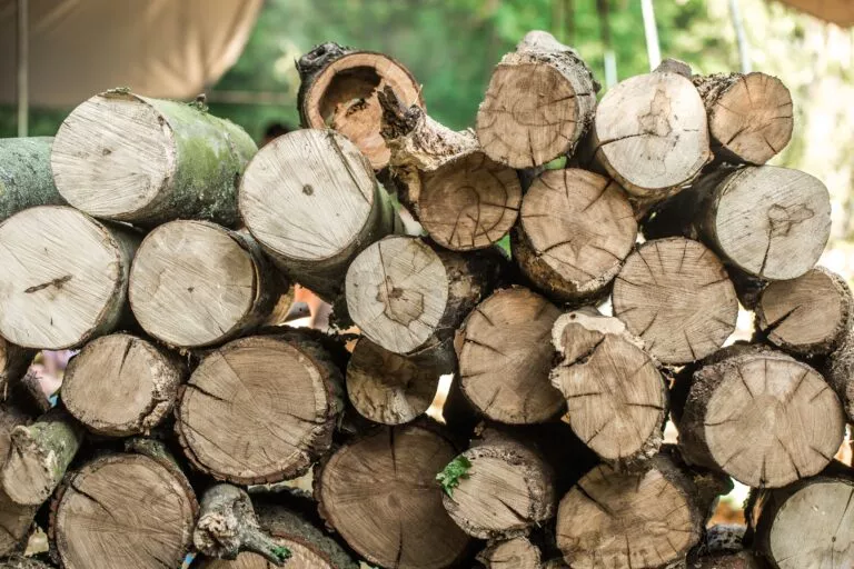 EUDR Compliance for Wood Exporters in Switzerland, EUDR Compliance for Wood Exporters, Wood Exporters in Switzerland, Wood Exporters, eudr compliance, eudr