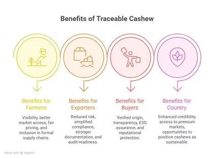cashew traceability, end to end traceability, traceability platform
