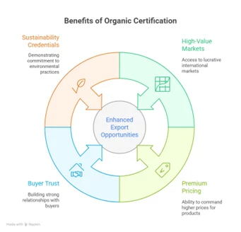 organic certification