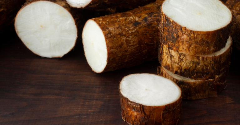 cassava supply chain in Tanzania , cassava supply chain in Traceability nigeria, Traceability in the cassava Supply Chain