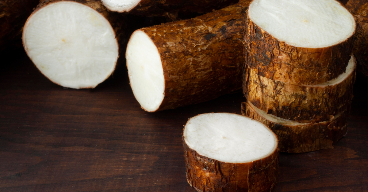 cassava supply chain in Tanzania , cassava supply chain in Traceability nigeria, Traceability in the cassava Supply Chain