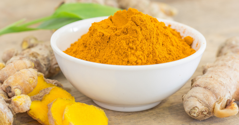 turmeric value chain, turmeric traceability