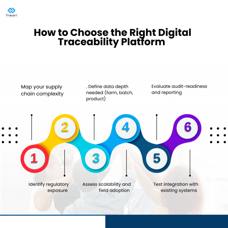 Digital Traceability System: Choosing the Right Platform