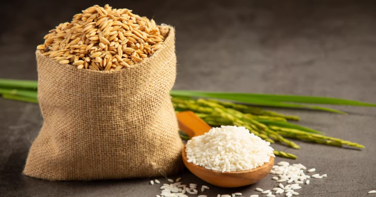 Top 10 Global Rice Exporters, 10 Global Rice Exporters, Global Rice Exporters