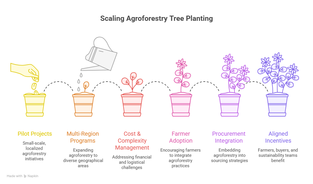 Tree Planting in Agroforestry: Scaling Beyond Year One
