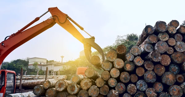 ILPA compliance, ILPA Regulatory Guide for Timber Importers, Timber compliance solutions, timber compliance, australia illegal logging prohibition act Regulatory Guide