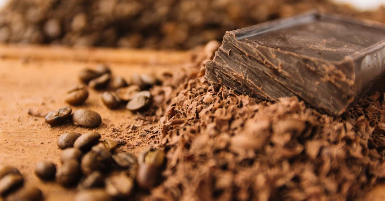 Supplier Data Collection in EUDR for the Cocoa Supply Chain in belgium