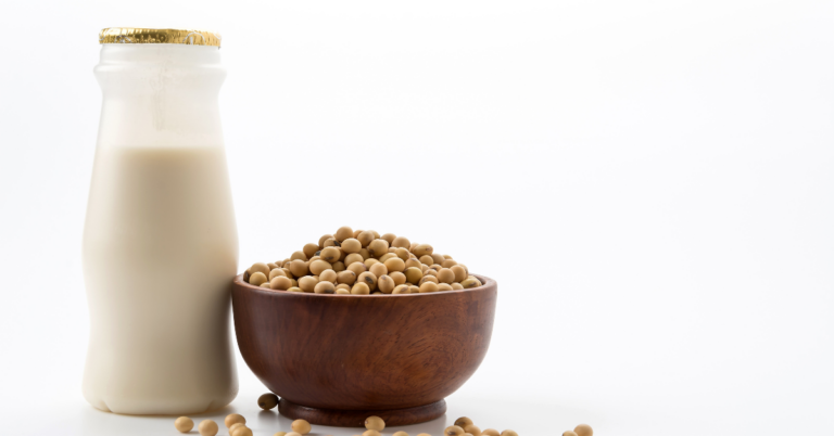 EUDR DDS for Soy Supply Chain in Portugal
