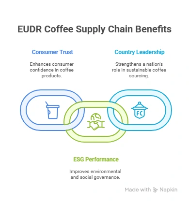 EUDR Coffee suply chain