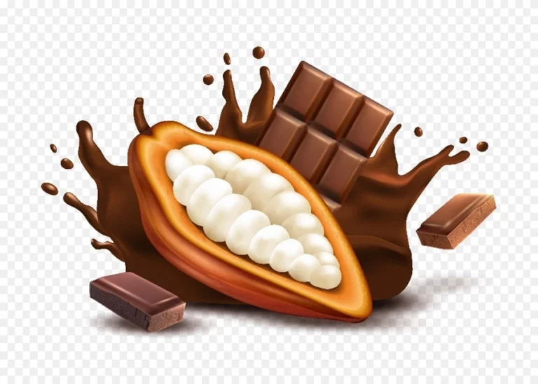 EUDR DDS for Cocoa Supply Chain in Hungary 