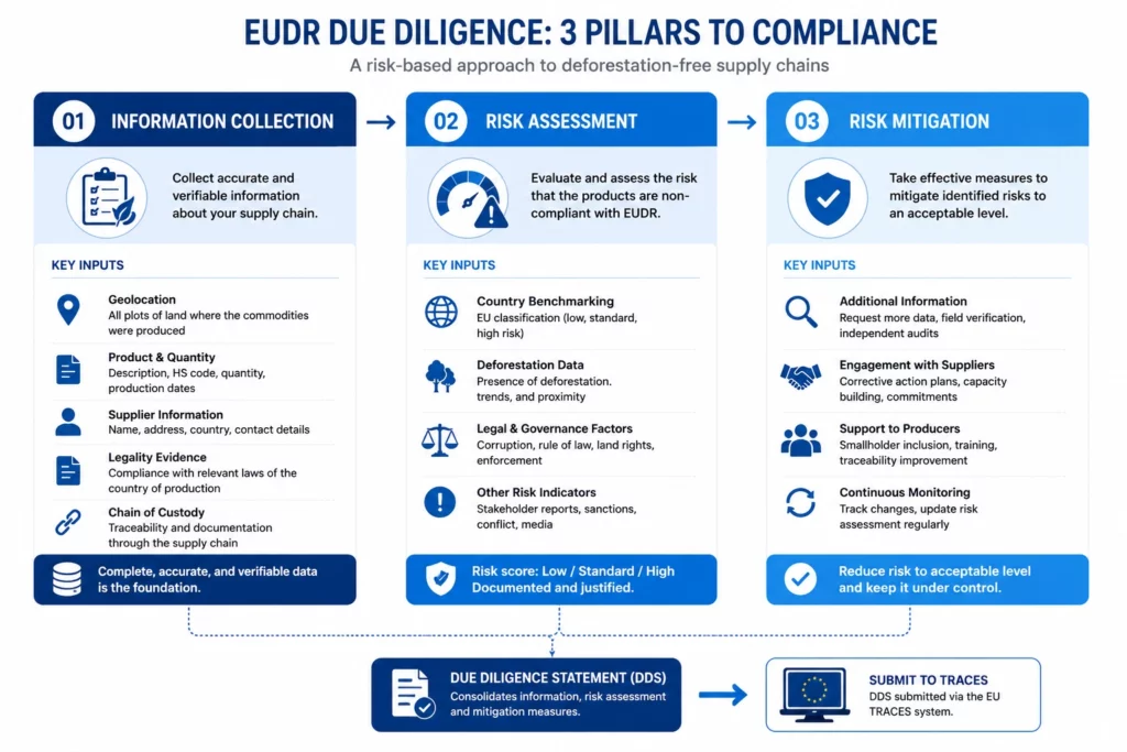 eudr, eudr compliance, eu deforestation regulation