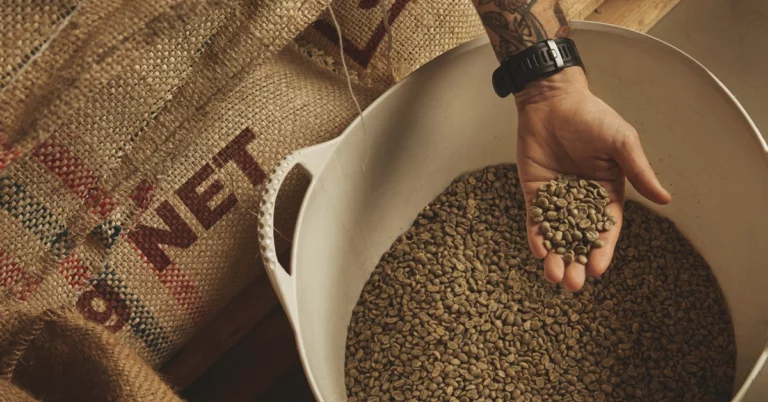 Geo Mapping for Coffee Exporters in Vietnam, Geo Mapping for Coffee Exporters, Coffee Exporters in Vietnam
