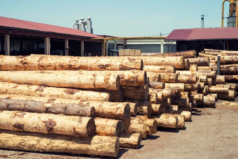 Geo mapping for Wood Exporters in Thailand