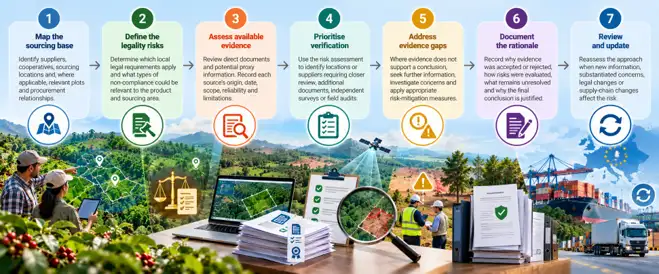A seven-step risk-based legality workflow: map the sourcing base, define the legality risks, assess available evidence, prioritise verification, address evidence gaps, document the rationale, and review and update
