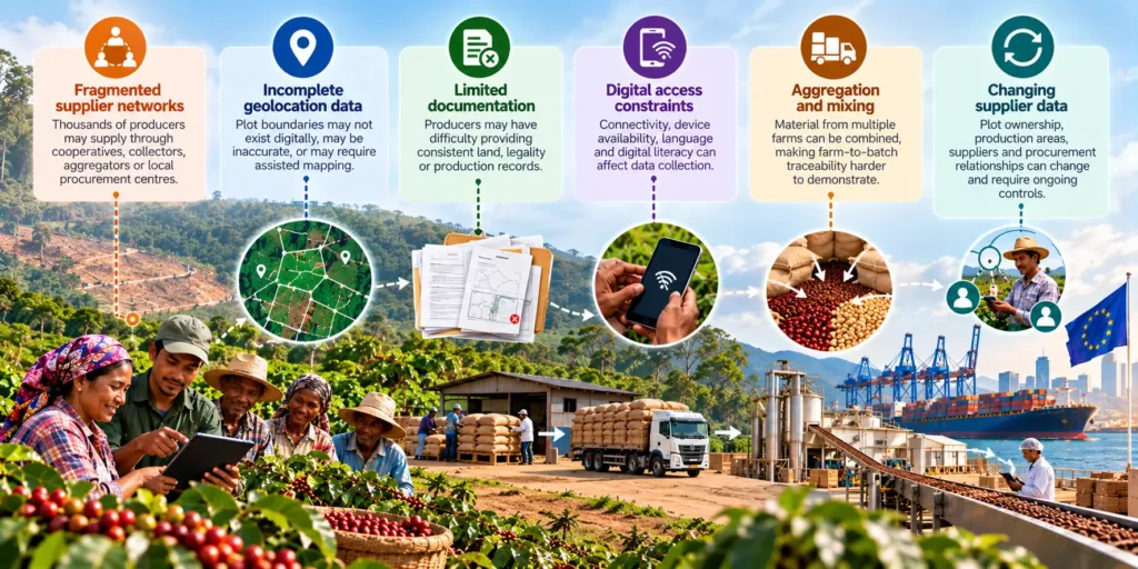 Six smallholder supply chain risks: fragmented supplier networks, incomplete geolocation data, limited documentation, digital access constraints, aggregation and mixing, and changing supplier data, over farmers with a tablet, a collection point, a processing line and EU-bound shipping